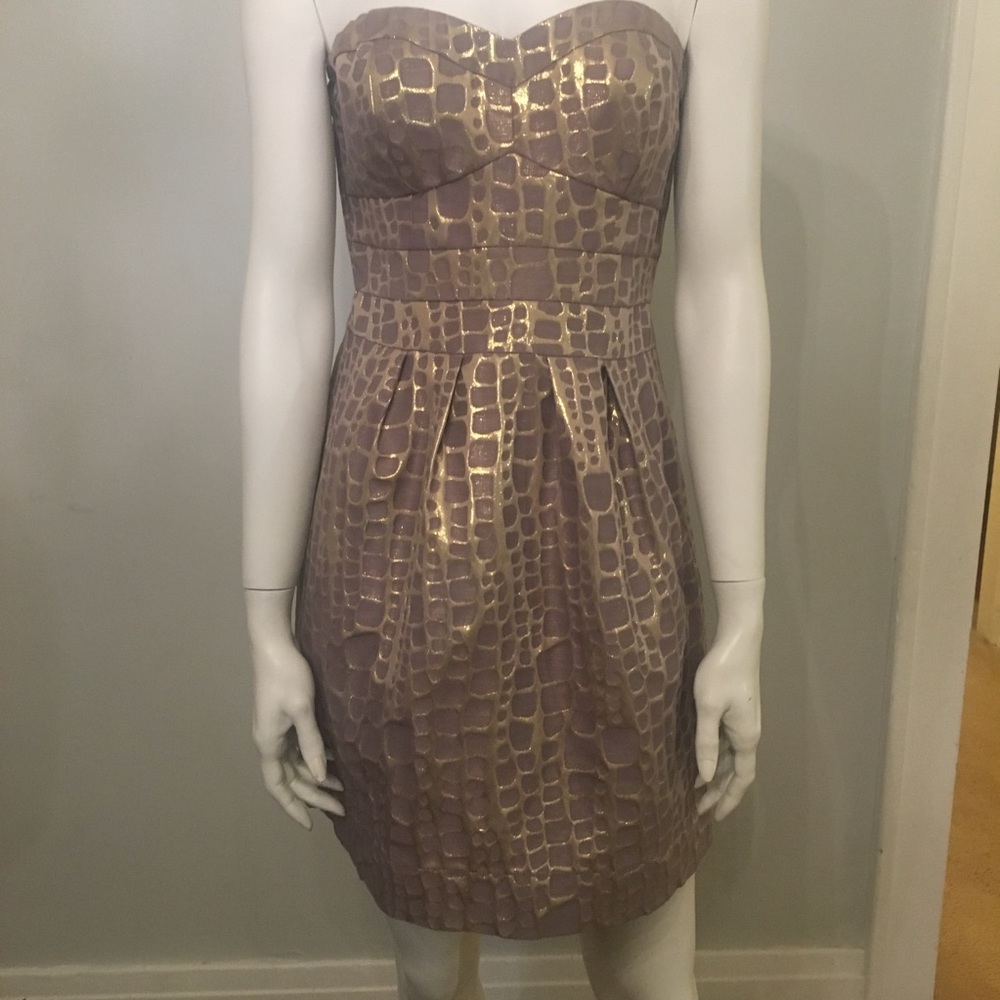 America Eagle Outfitters Dress